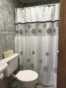 a bathroom with a toilet and a shower curtain at Las Heras in Olavarría