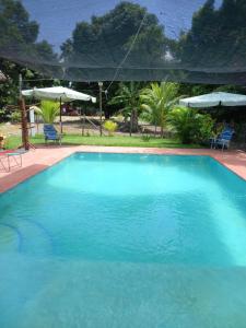 a large blue swimming pool with chairs and umbrellas at Rancho Carmen in El Garitón