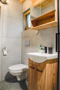 a bathroom with a sink and a toilet at Domki nad Wiarem 2 in Huwniki +72 photos