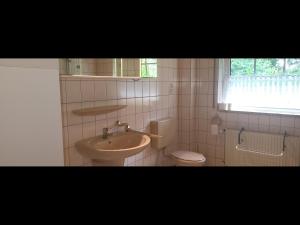 a bathroom with a sink and a toilet at Ferienwohnungen und Monteurzimmer Eggstedter Moor in Eggstedt