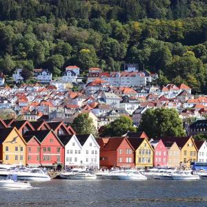 a group of colorful houses on the water with boats at Central & Quiet by Bryggen - Minimum Age 25 in Bergen