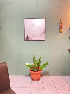 TV/trung tâm giải trí tại Rous place# 2 +7 ảnh