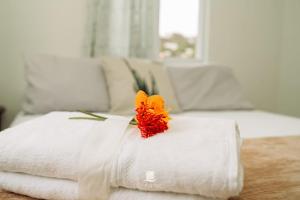 a flower sitting on top of a white towel at Ocean Mist Suites in Kingstown
