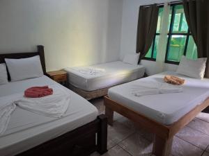 Φωτογραφία από το άλμπουμ του Cabinas Tortuguero Natural σε Tortuguero +34 φωτογραφίες