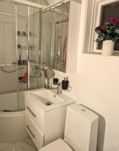 Un baño blanco con lavabo y ducha. en Room at House of ade, en Senja