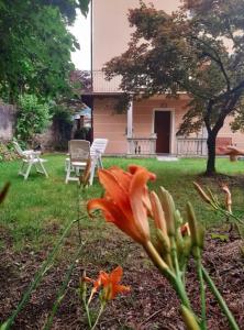 Κήπος έξω από το Reset perché no