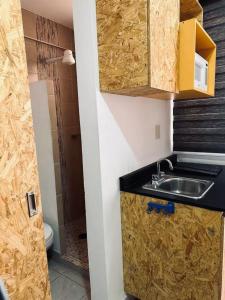 プエブラにあるLiving Upの小さなキッチン(シンク、トイレ付)