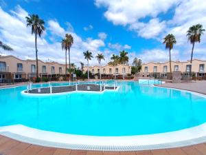 マスパロマスにあるGreen Oasis Maspalomas garden 11のヤシの木が茂る中庭にある青い水の大きなプール