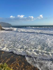 Afbeelding uit fotogalerij van Il nido sul mare blu in Bogliasco