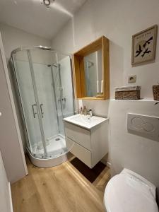 ein Badezimmer mit Dusche, Waschbecken und Toilette in der Unterkunft Charming Apartment in Saint-Gilles, Brussels, Perfect Getaway in Brüssel