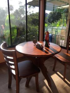 EscazúにあるPrivate studio surrounded by natureのおもちゃの鳥が2羽座っている木製のテーブル