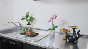 a kitchen counter with plants and a sink at LIO HOTEL Tokyo Nippori in Tokyo