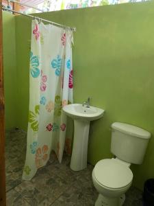 a bathroom with a toilet and a sink and a shower curtain at GreenPoint Drake Bay in Drake +80 photos