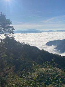 Příroda nedaleko ubytování v soukromí + 10 fotografií