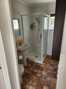 a bathroom with a shower and a toilet and a sink at Cosy Studio Unit on Longview in New Plymouth