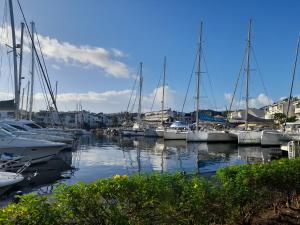 a group of boats docked in a harbor at Martinique 3 ILETS POINTE DU BOUT T2 35M2 in Les Trois-Îlets