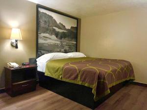a hotel room with a bed and a painting on the wall at Super 8 by Wyndham Ogden, Utah in Ogden