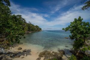a view of a beach with trees and the water at Freddies Villas Sabang in Sabang