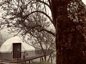 Fotografie z fotogalerie ubytování Pear Glamp v destinaci Kodaikānāl