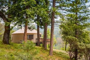 una cabaña en medio de un bosque con árboles en Yosemite Lakes Hillside Yurt 1 en Harden Flat