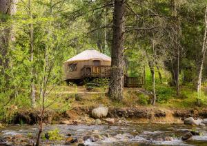 una yurta en el bosque junto a un río en Yosemite Lakes River Yurt 21 en Harden Flat