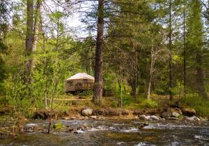 a cabin in the woods next to a river at Yosemite Lakes River Yurt 21 in Harden Flat