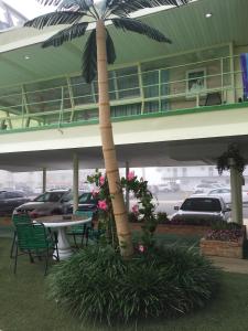 Balkón nebo terasa v ubytování Caribbean Motel