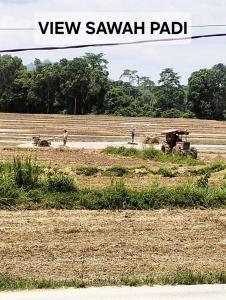 a farm with two animals and a tractor in a field at Cahaya Alam Roomstay in Ketereh