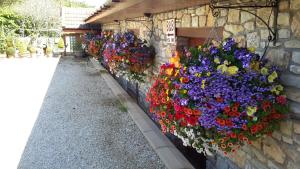 Zahrada ubytování Bridge Farm Guesthouse rooms