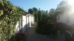 an alley between two buildings with flowering plants at Les Trois Roses in Abbeville