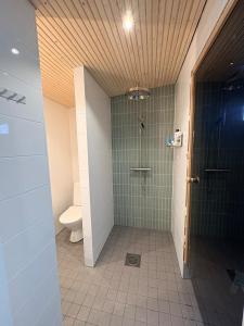 Koupelna v ubytování Charming guesthouse with sauna in Helsinki