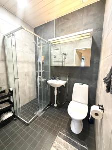 a bathroom with a shower and a toilet and a sink at Midnight Sun center apartments in Sodankylä +19 photos