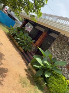 Taman di luar Lechalet villa