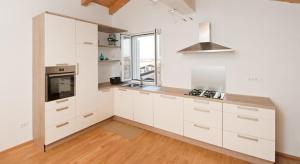 Kuchyň nebo kuchyňský kout v ubytování Apartments Tamburini