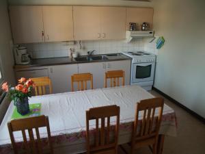 uma cozinha com uma mesa com cadeiras e um lavatório em Porvoo Hostel em Porvoo