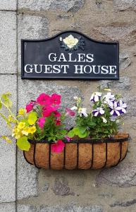 a sign on a wall with a pot of flowers at Gales Guesthouse in Aberdeen