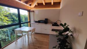 a kitchen with a table and chairs in a room at Agrialloggio Verde Fiore in Vigonza