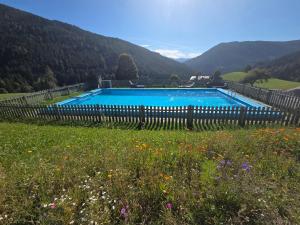 a large swimming pool in a field with a fence at Appartement Mühlebnerhof in Ramsau am Dachstein