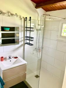 een badkamer met een wastafel en een douche bij Villa Tara Fort Royal in Deshaies