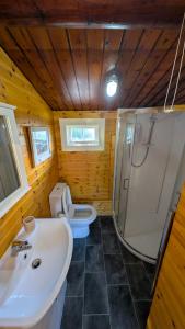 a bathroom with a toilet and a sink and a shower at Eryri Retreat in Trawsfynydd