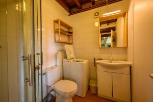 a small bathroom with a toilet and a sink at Blue cottage in Normandie in Ouville-lʼAbbaye +28 photos