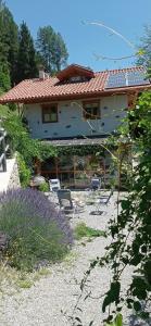ein Haus mit Stühlen und ein Haus mit einem Dach in der Unterkunft Baita Bertolini in Monclassico