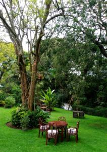 Gallery image of Naro Moru River Lodge in Naro Moru