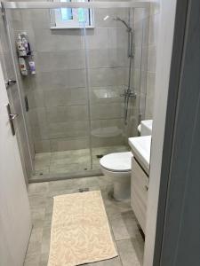 a bathroom with a shower and a toilet and a sink at Katie's House in Sparti