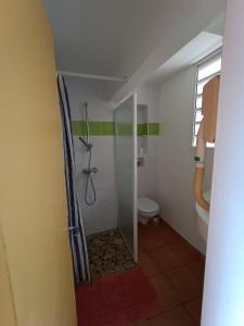 un bagno con doccia e WC di Sea view studio, beaches, pool bar, car option a Sainte-Anne Altre 7 foto