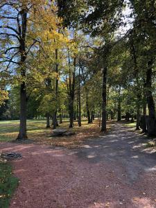 a path in a park with trees and leaves at 2 bedroom Gîte-Cottage- Chateau de Charmeil in Charmeil