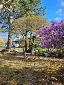 Κήπος έξω από το Ferienwohnung Rhönchalet +4 φωτογραφίες