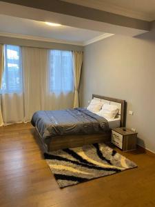 Schlafzimmer mit einem Bett mit einem Teppich und einem Fenster in der Unterkunft Joy Apartment in Addis Abeba