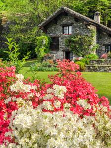 a garden with red and white flowers in front of a house at Chalet La Baita in Baceno