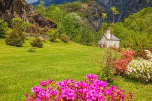 a field of flowers with a house in the background at Chalet La Baita in Baceno